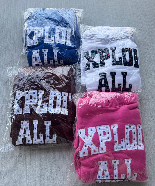 Distressed Embroidery Hoodie